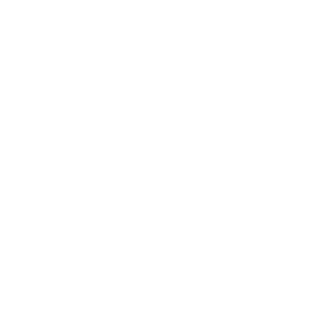 branding icono