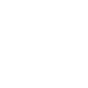 icono representativo btl experiencia